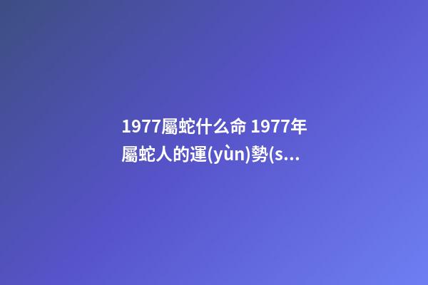 1977屬蛇什么命 1977年屬蛇人的運(yùn)勢(shì) 1977年屬蛇人的一生運(yùn)勢(shì)-第1張-觀點(diǎn)-玄機(jī)派